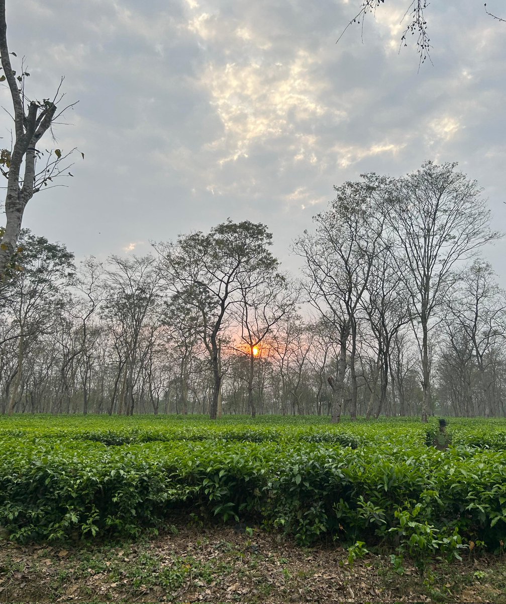 Last day of the #Assamese calendar year!
#chasingsunsets #bohagbihu