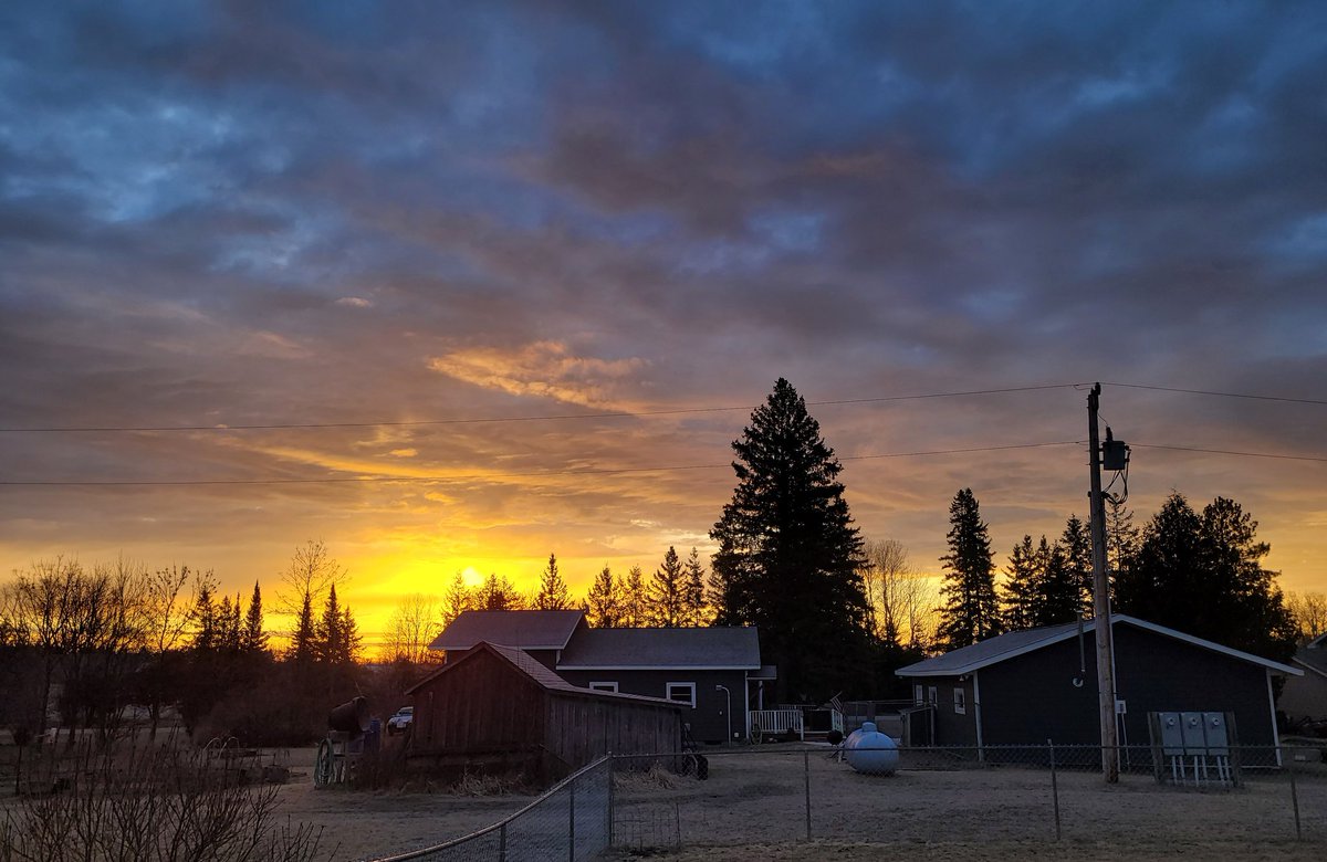 tim_sprouls's tweet photo. Good morning. My dog was hungry, so I got to see this. https://t.co/PmLW6pRCxG