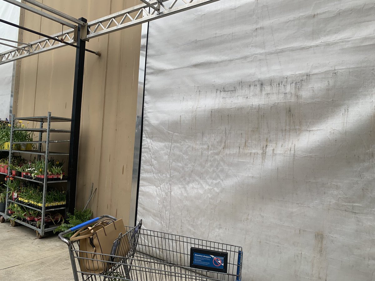 Dr. Tonya Webb tweet media