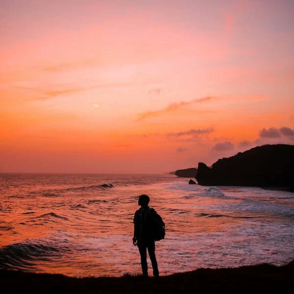 ChenTrong's tweet photo. When we let fear be our master, we cannot be happy and free as a butterfly. But when we choose to trust the journey and embrace love and joy, we are free to fly. https://t.co/ApR98pSIEM