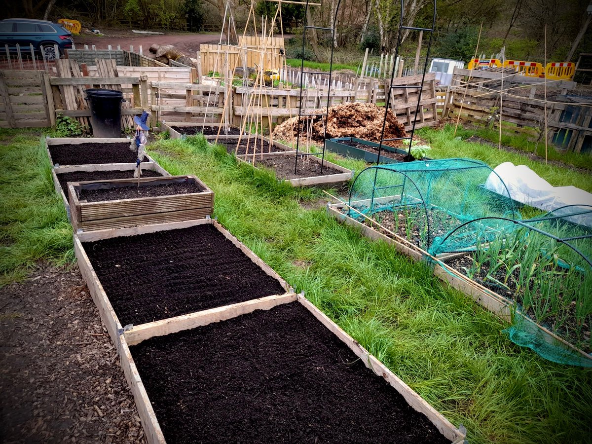 🌱🌞 A few snaps from the #allotments this week, it's looking amazing! 

Huge shoutout to Chris and Mel for keeping things running smoothly with their dedication and hard work. 

Grab a plot of your own @ wharfside.org/apply

#community #walsall #lichfield #burntwood