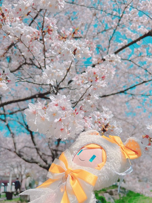 「桜 リボン」のTwitter画像/イラスト(新着)｜2ページ目