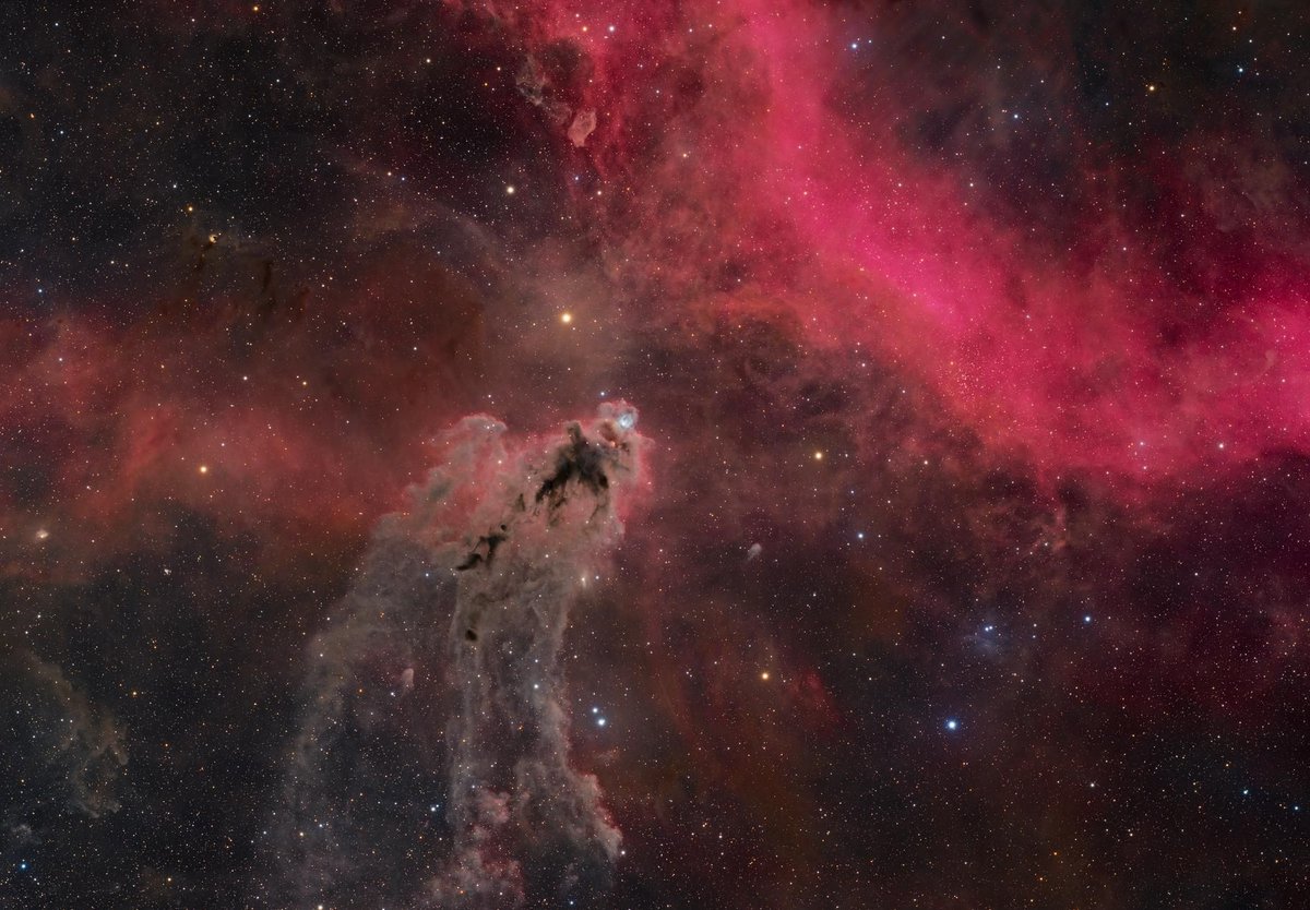 AstroBin's Image of the Day: 'LDN1622 - The Boogey Man Nebula Wide Field' by John Dziuba astrobin.com/73hvxk/?utm_so… #astrophotography #astronomy #astrobin #imageoftheday