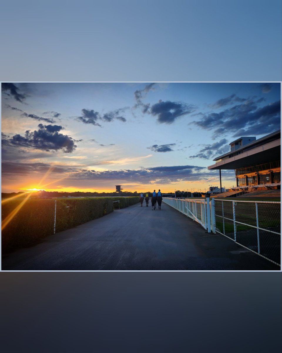 SarahTainbridge's tweet photo. #BelmontPark #untouched 🫶 https://t.co/5N6DMlMObA