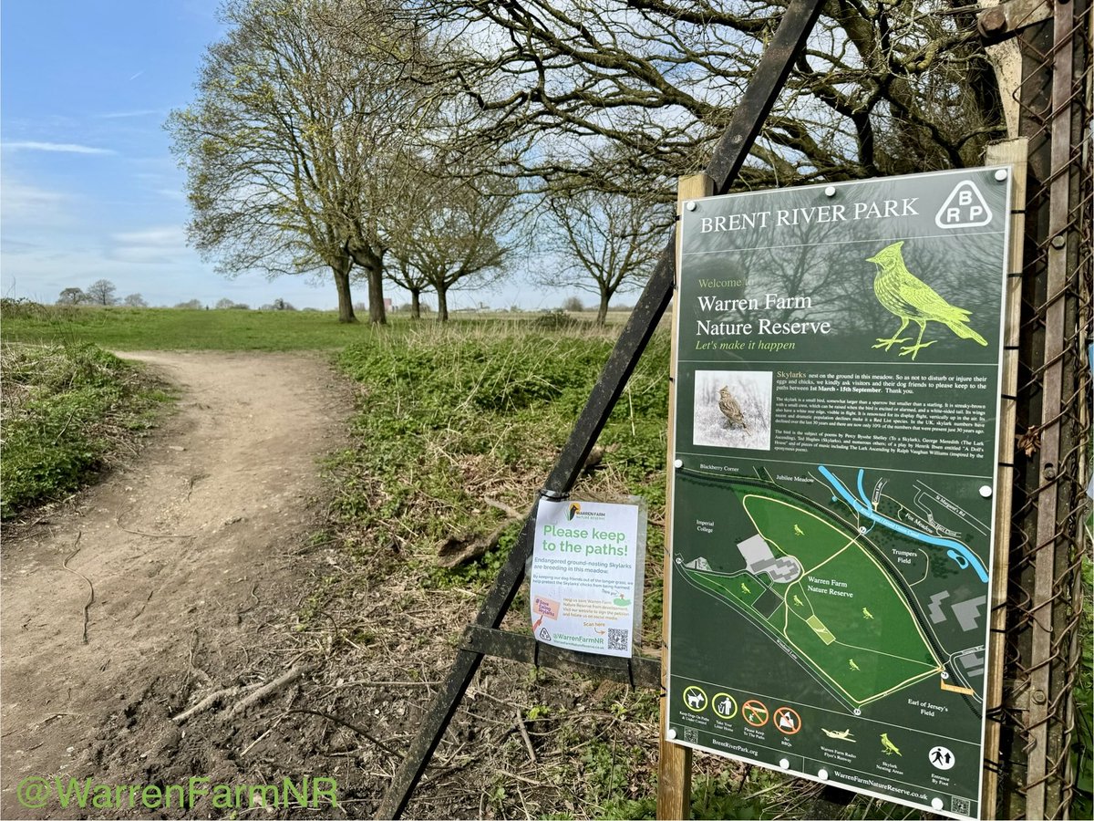 We’ve put NEW #WarrenFarmNR SIGNS up!💚☺️🐦‍⬛🪺Whilst we begin the process of getting official LNR status these signs inform that we’re a Skylark Nesting Area, kindly asking visitors & dog friends to ‘Keep To The Paths’🐶 Hopefully more graffiti proof too!🥴🤞🏼 #SaturdayVibes