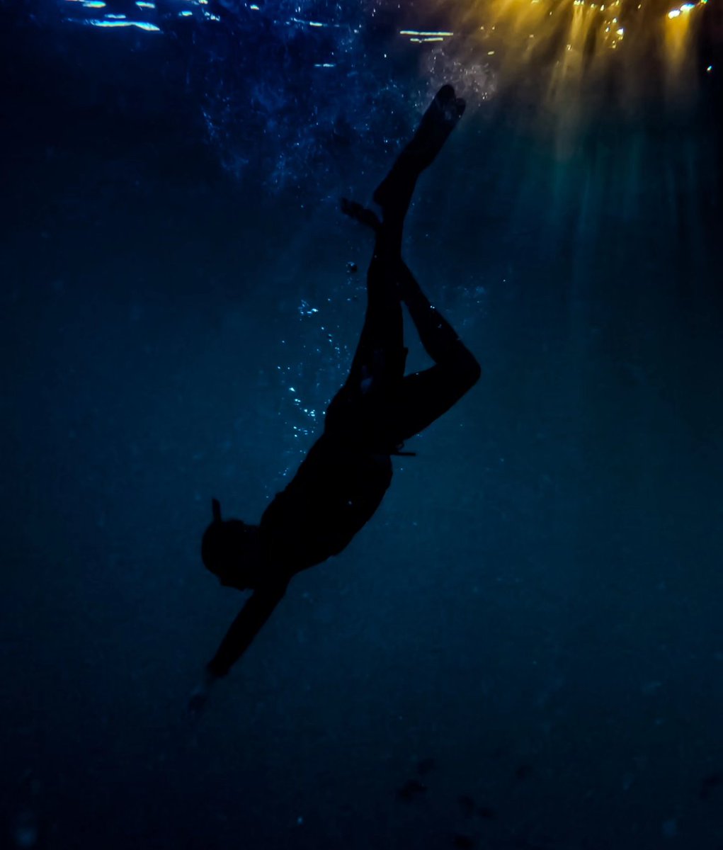 lidorpishiw's tweet image. Seas the day!

#Neverdivealone