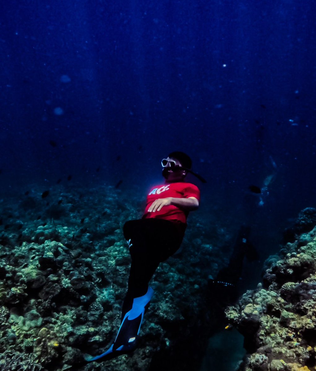 lidorpishiw's tweet image. Seas the day!

#Neverdivealone