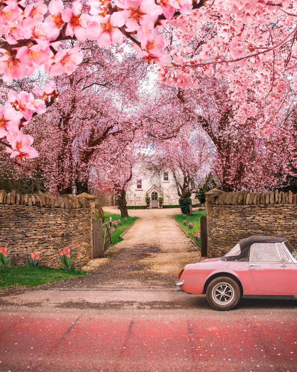 Pink Spring at Cotswolds, England 📷by Kiel James Patrick @kjp #Europe #travel #springtime