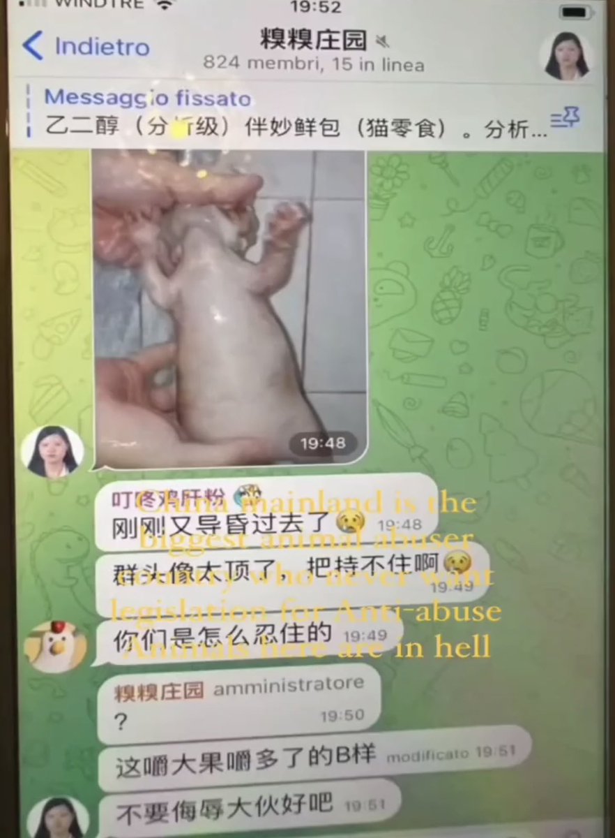 FatemehSamsam's tweet photo. @Ellis8964China @China_Fact Welcome to #China https://t.co/Xx4ybgKPOj