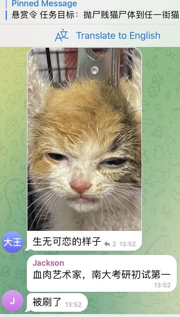 FatemehSamsam's tweet photo. @Ellis8964China @China_Fact Welcome to #China https://t.co/Xx4ybgKPOj