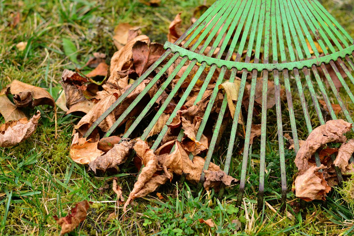 Reminder: yard waste should never be dumped in waterways! Leaves & other plant matter can add excess nutrients , leading to algae blooms & poor water quality. They can also cause blockages & localized flooding! Put yard waste in your compost, an unused corner or your green bin.