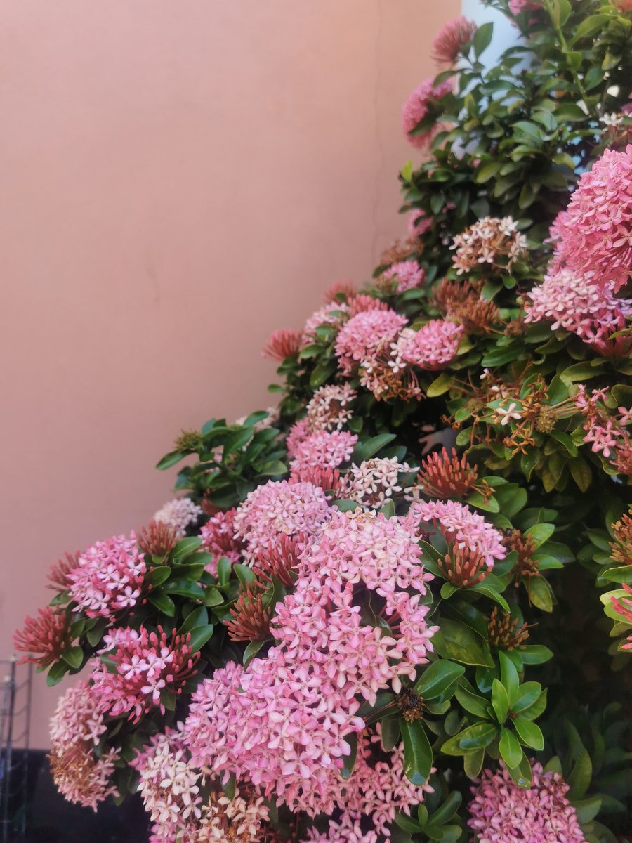 💕