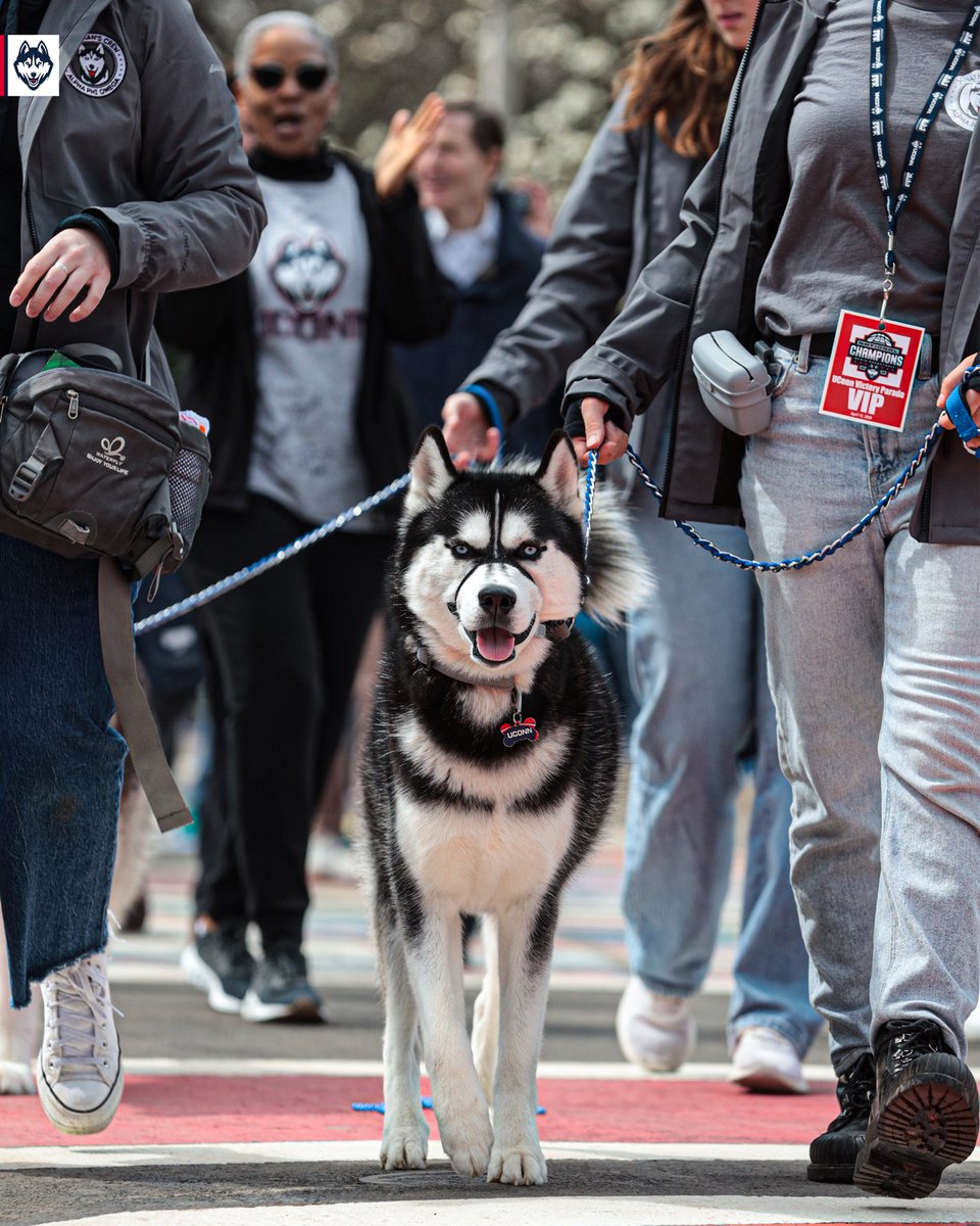 UConnHuskies tweet picture