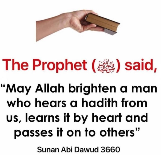 𝐌𝐚𝐡𝐝𝐢 tweet media