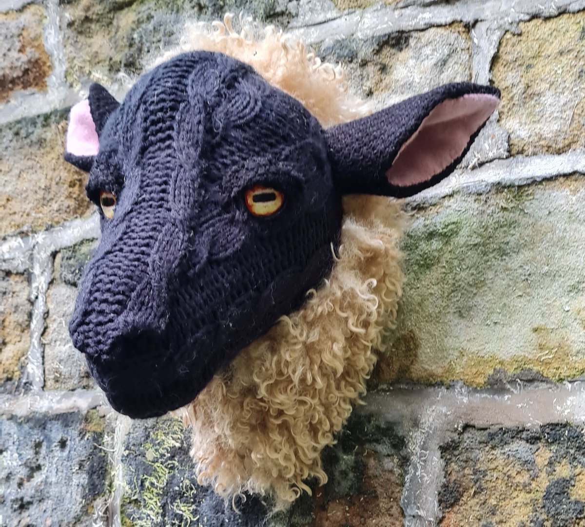 Jaynetunners's tweet photo. Meet Shirley the sheep. Lifesize, lightweight, totally faux and handmade in gorgeous Yorkshire 🐏
www.folksy. com/shops/craftedcreatures
#handmadesheep #sheep #supportsmallbusinesses #notonamazon #handmadegift #giftideas #animallover https://t.co/HDzYdkMfoG