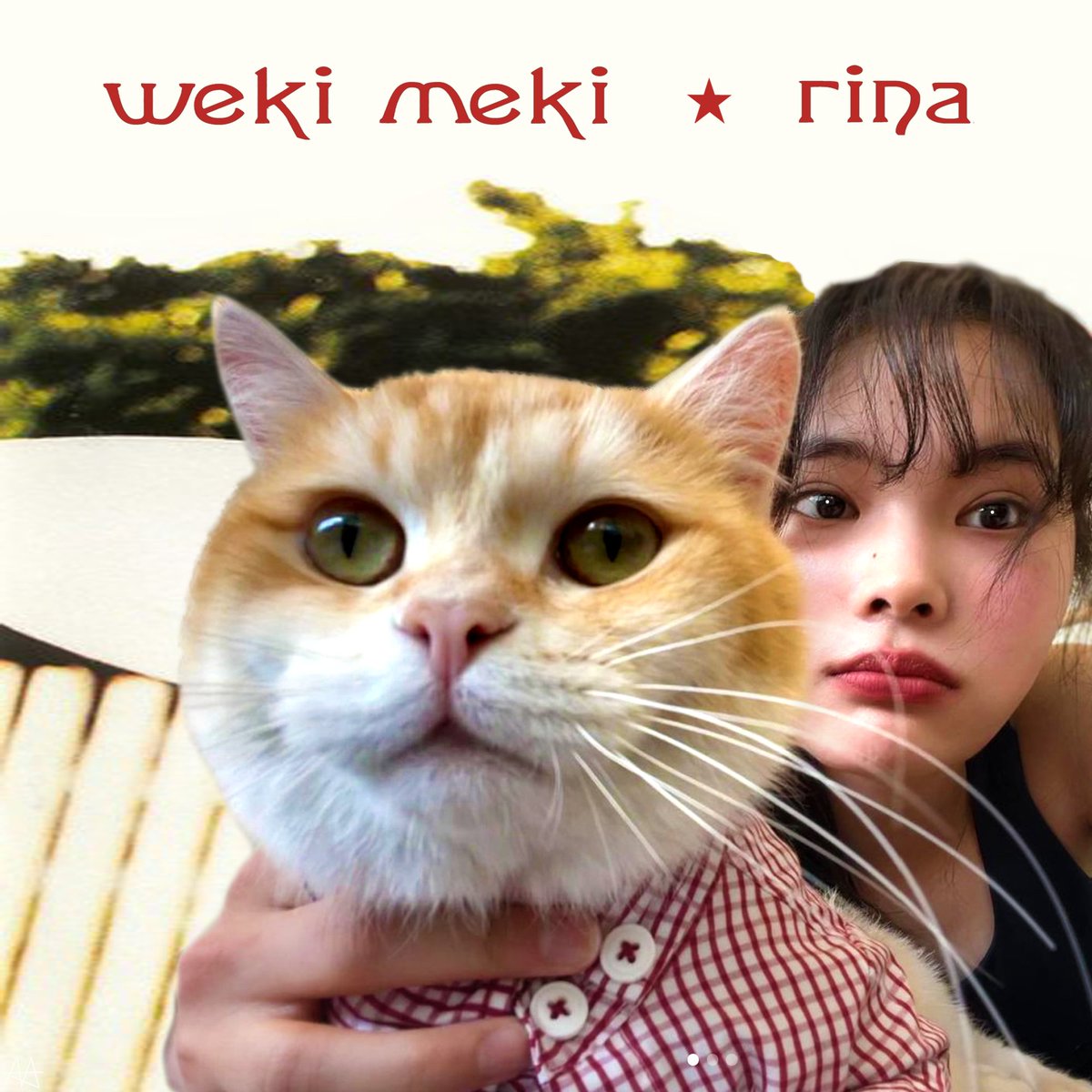 #009 - Posting @weki_meki memes every day until the comeback.

#WekiMeki #위키미키 #SmashingPumpkins #SiameseDream