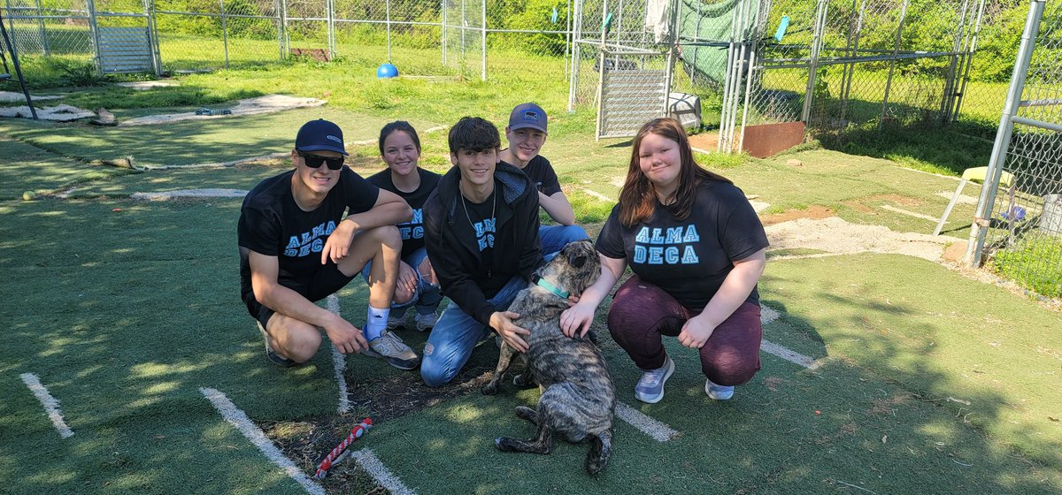 ALMA DECA 💙💎 tweet media