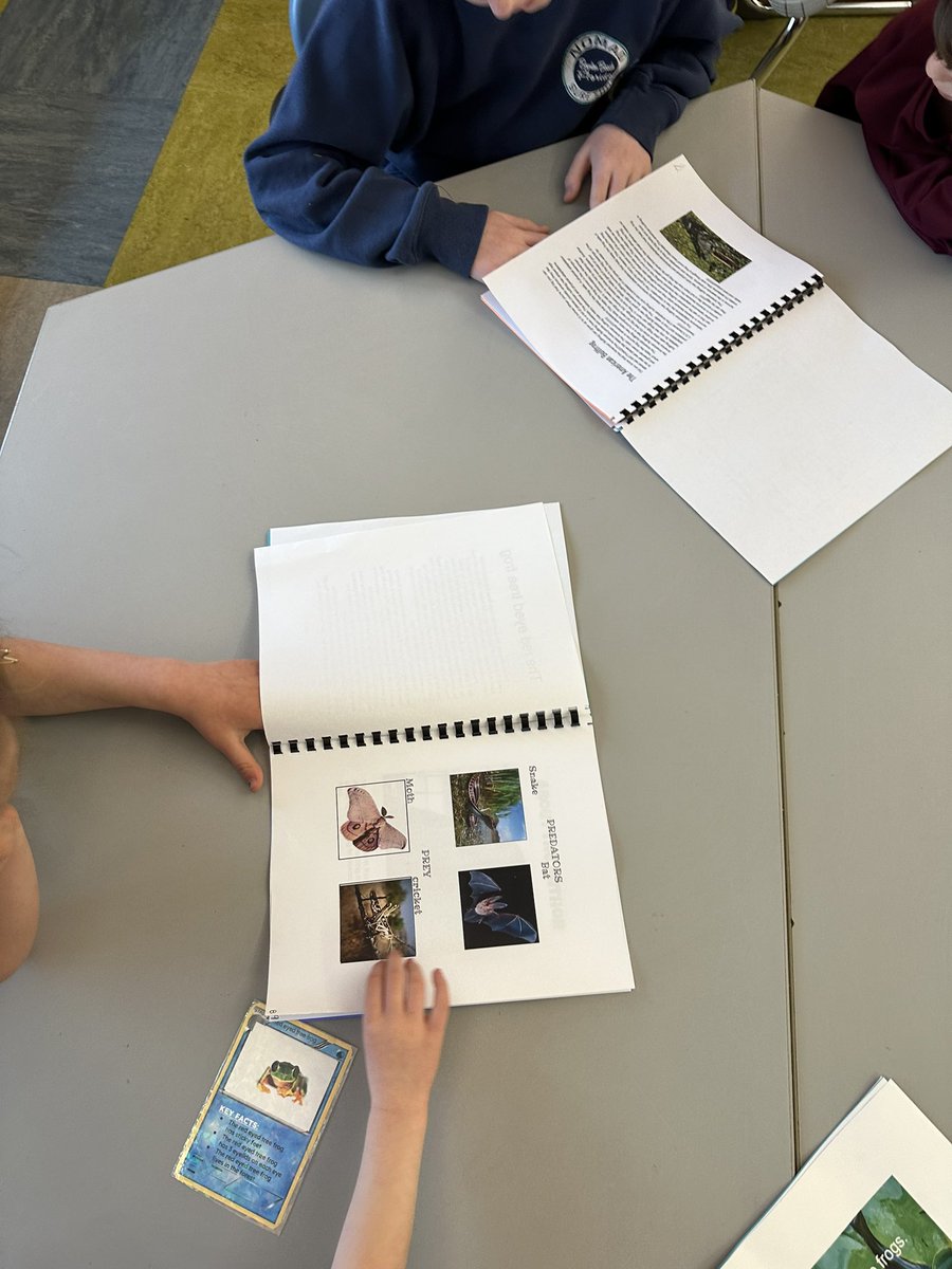 Mrs.Melnik's Kinders tweet media