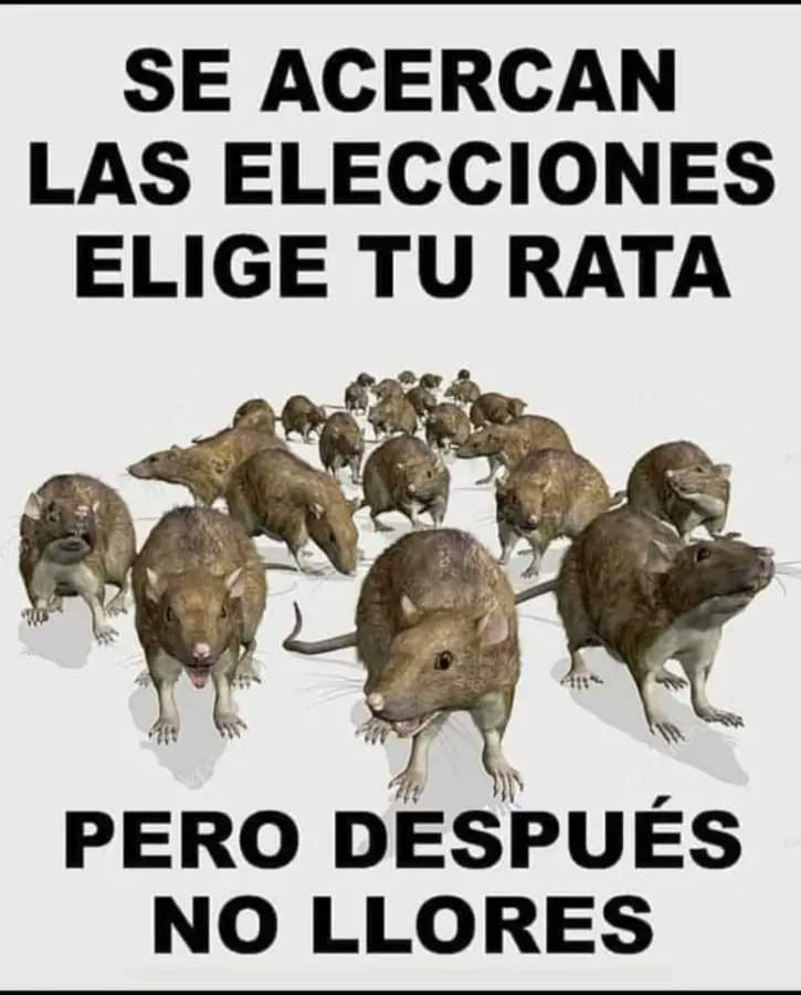 Alberto63196415's tweet photo. #XoshitGalvez  #ClaudiaPresidenta #INEMexico #Elecciones2024MX #MorenaCuevaDeDelincuentes #MaineMendoza #PANLAR2024 #MovimientoCiudadano #ClaudiaPresidenta2024 #XochitlPresidenta2024 https://t.co/VjEW56scmP
