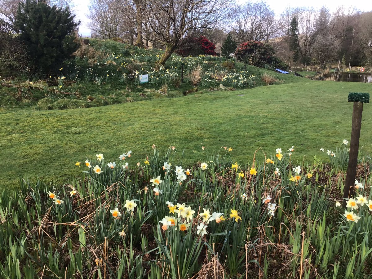 Springtime <a href="/Kintailbop/">Kintail Birds of Prey Argyll Ltd</a>