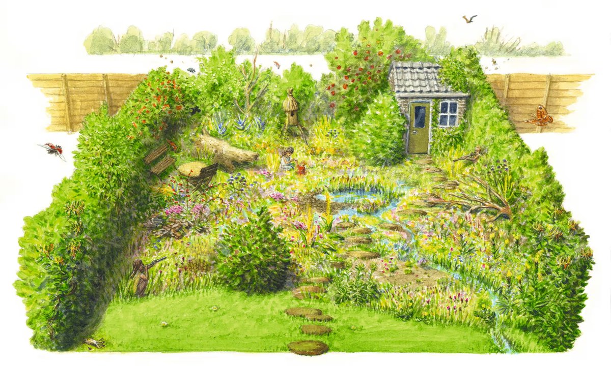 hugopottisch's tweet photo. Which #garden do you have?
โญ๏ธ Conventional
โญ๏ธ Nature-friendly
โญ๏ธ #Rewilded
From: "Think like a beaver, create a pond โ and lose the cat: seven ways to rewild your garden"
https://t.co/vuwepJAxad https://t.co/ocS26kCOQE