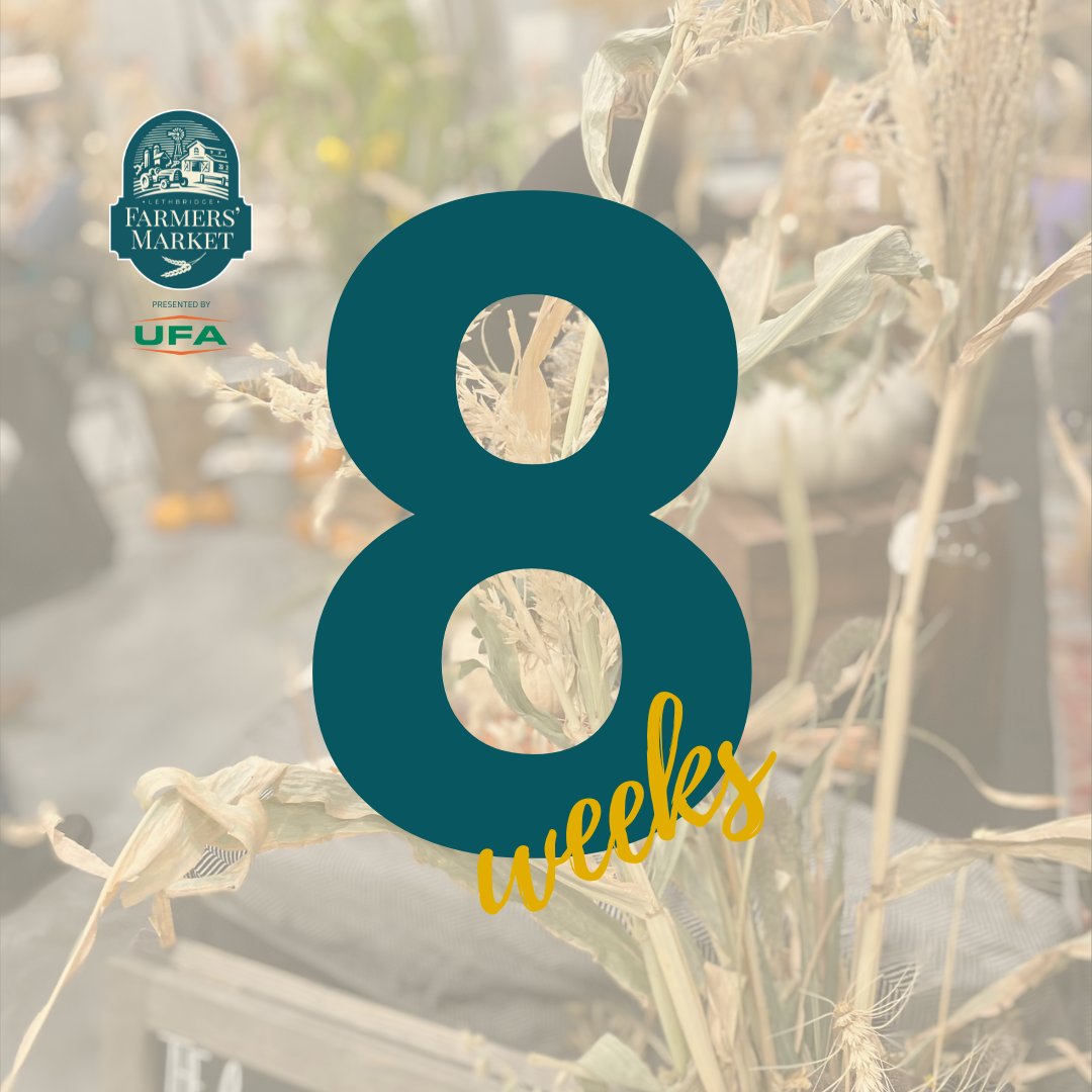 We are 8 weeks away from the start of the Saturday Lethbridge Farmers' Market at the Agri-food Hub & Trade Centre! 🍅 We can't wait to welcome everybody to this year's Farmers' Markets. 🙌 Learn more or apply today ▶️ lethbridgefarmersmarket.ca