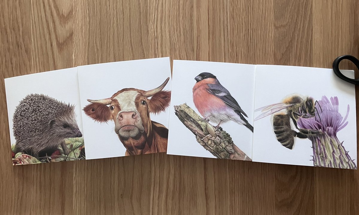 I’m going to do a mini Giveaway of a 4pk of cards. I’ve not sold any of the latest ones I had printed, so I’m trying to generate interest & get them seen more as I’ve been struggling to make any profit recently. RT & follow to enter the draw. Winner picked 15/4 at 8pm. UK only.