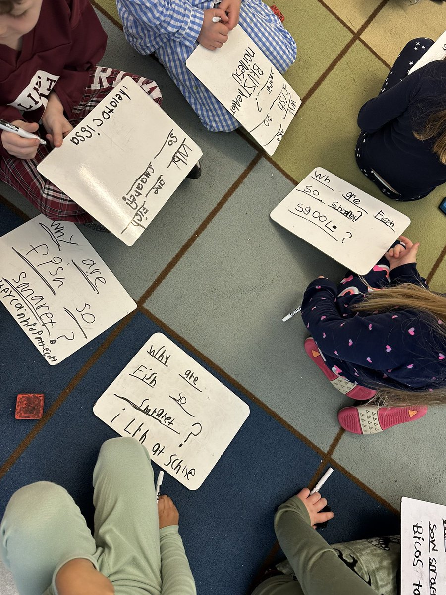 Mrs.Melnik's Kinders tweet media