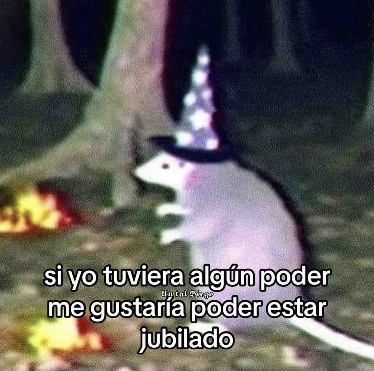 El Guarromántico tweet media