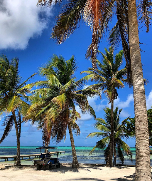 Feeling the calming island breeze while surrounded by the majestic palm trees of San Pedro. This picturesque scenery truly embodies the essence of paradise. 🌴✨ #TravelBelize 📸: @rebelasian