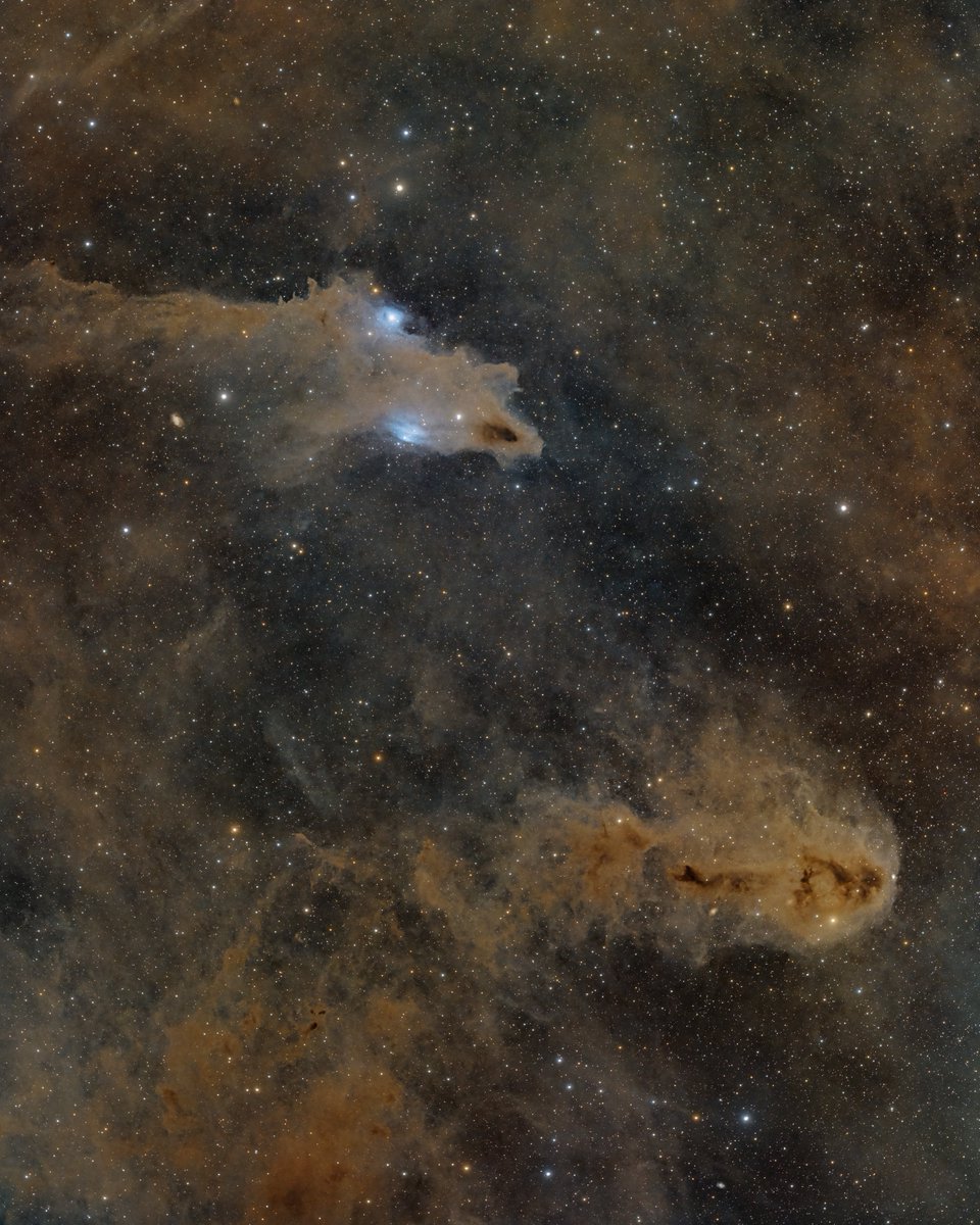 The 'Dark Shark' Nebula 📷 My latest deep-sky astrophotography image is the dusty 'Dark Shark' Nebula in the constellation Cepheus. Below the shark lies another captivating object, LDN 1250. Both targets are a part of the 'Lynds Dark Nebulae' catalog. I captured this image…