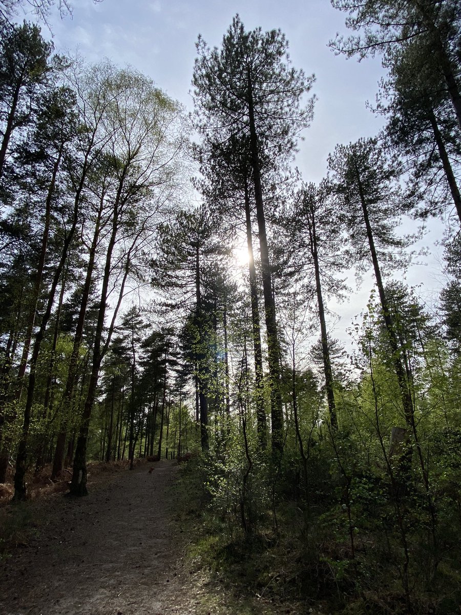 ExploraNeedham's tweet image. Therapy