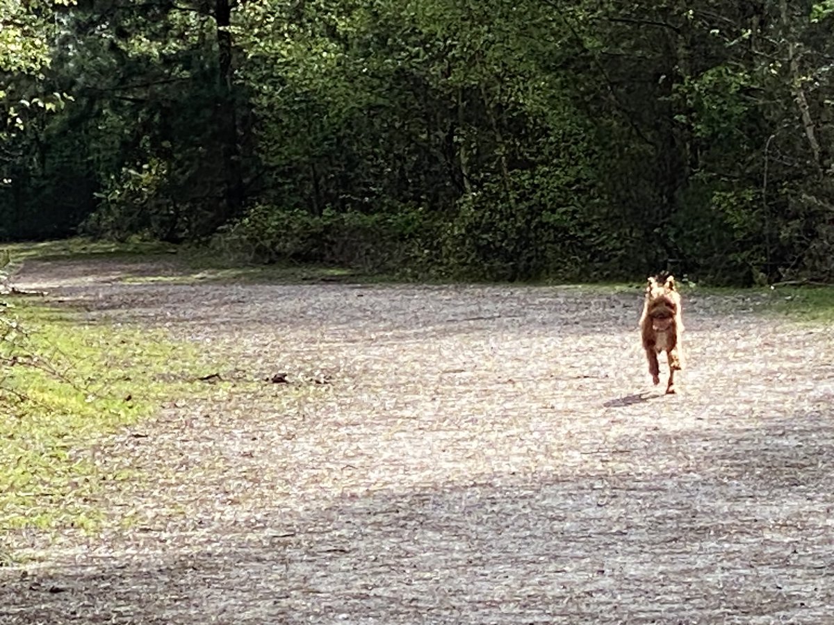 ExploraNeedham's tweet image. Therapy