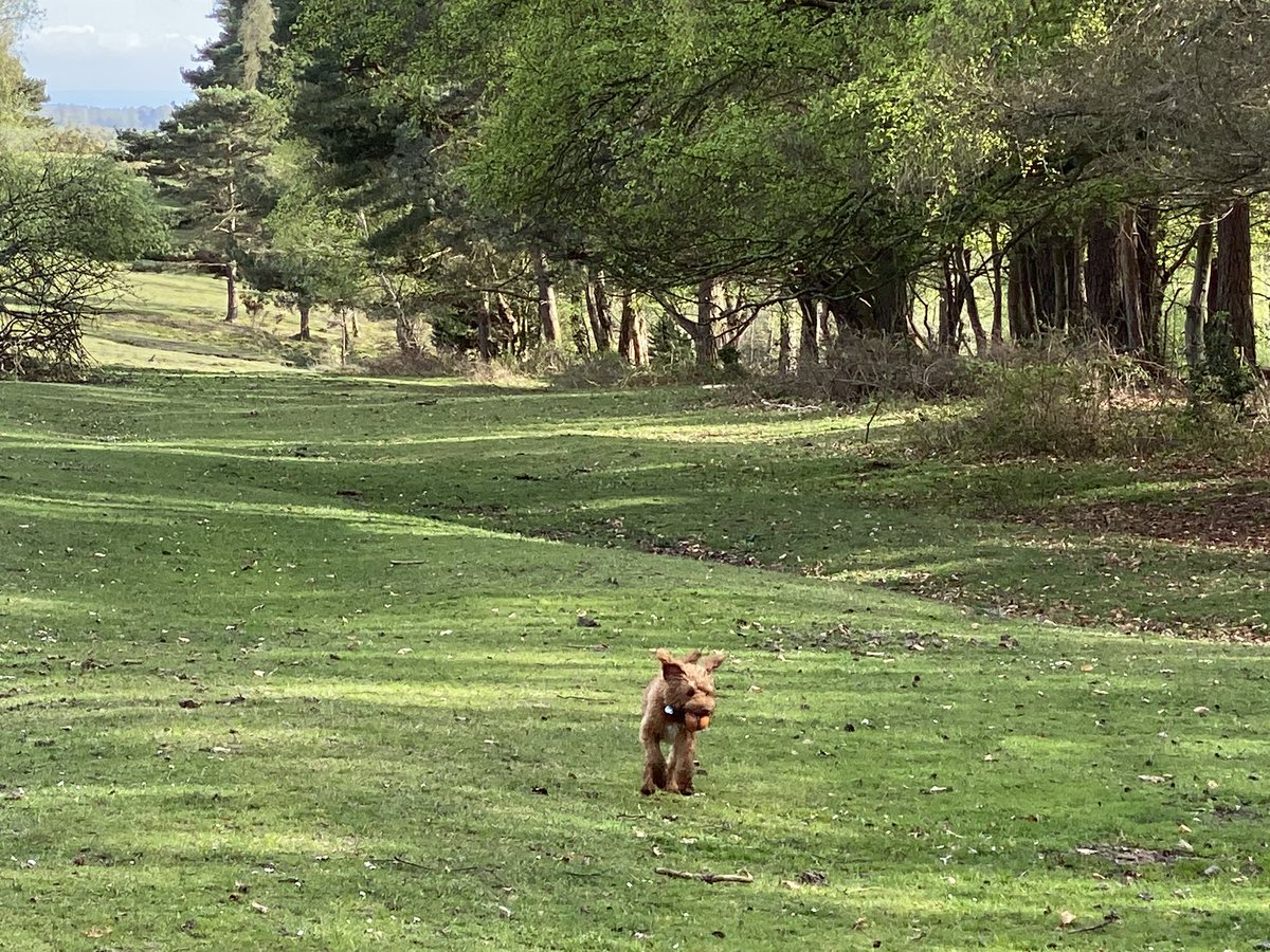 ExploraNeedham's tweet image. Therapy