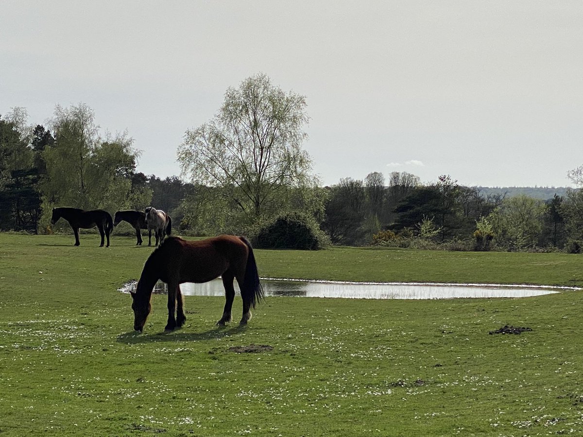 ExploraNeedham's tweet image. Therapy