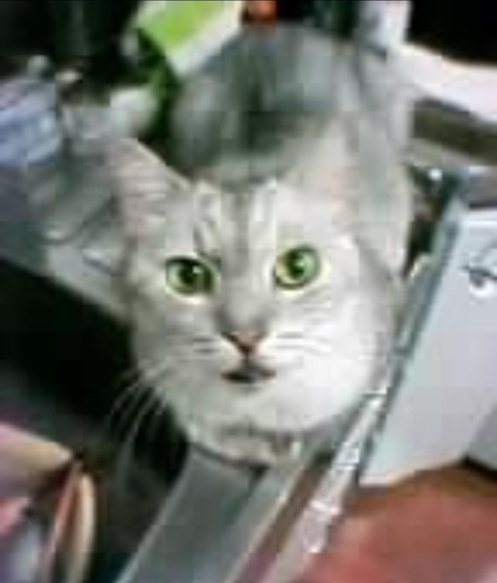 チー太郎 - Search / X