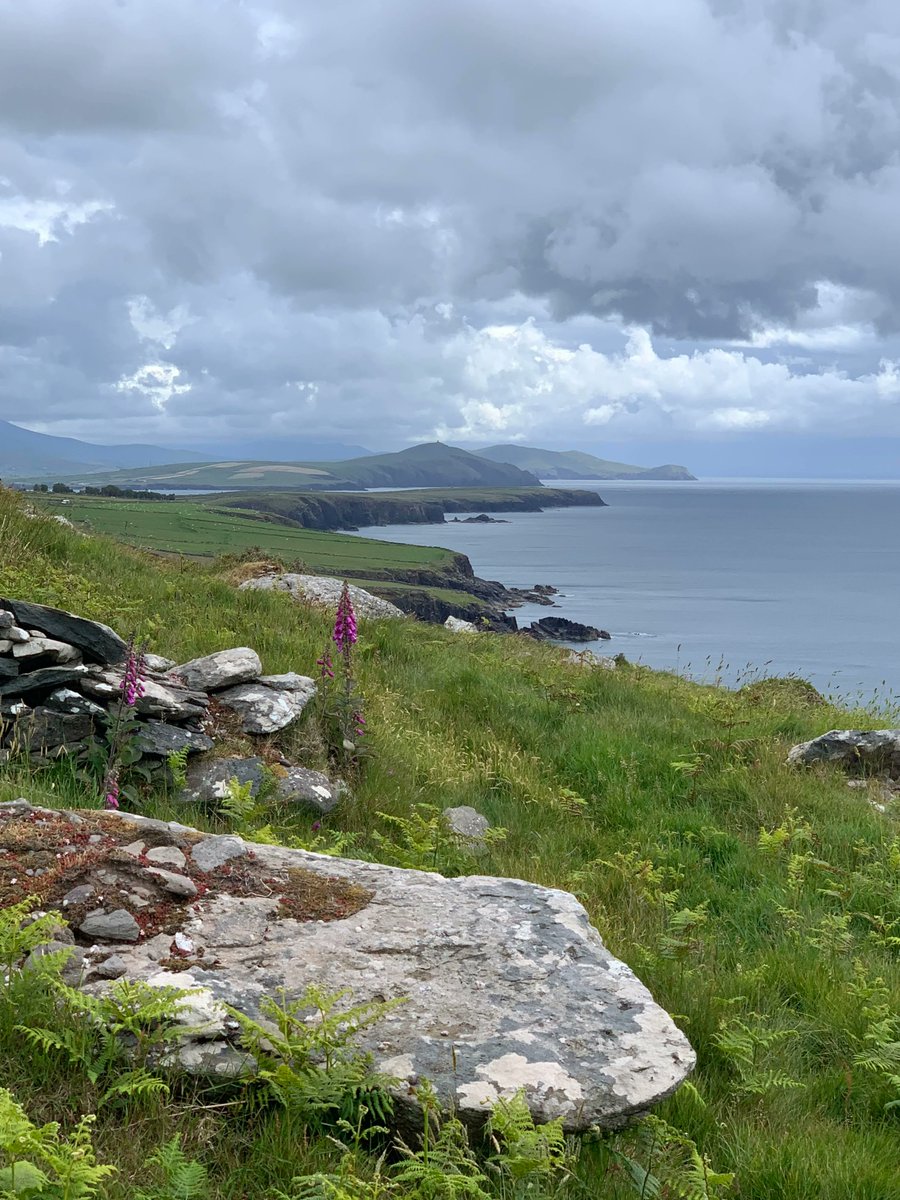 The captivating Wild Atlantic Way. The Dingle Peninsula. Ireland. NMP.