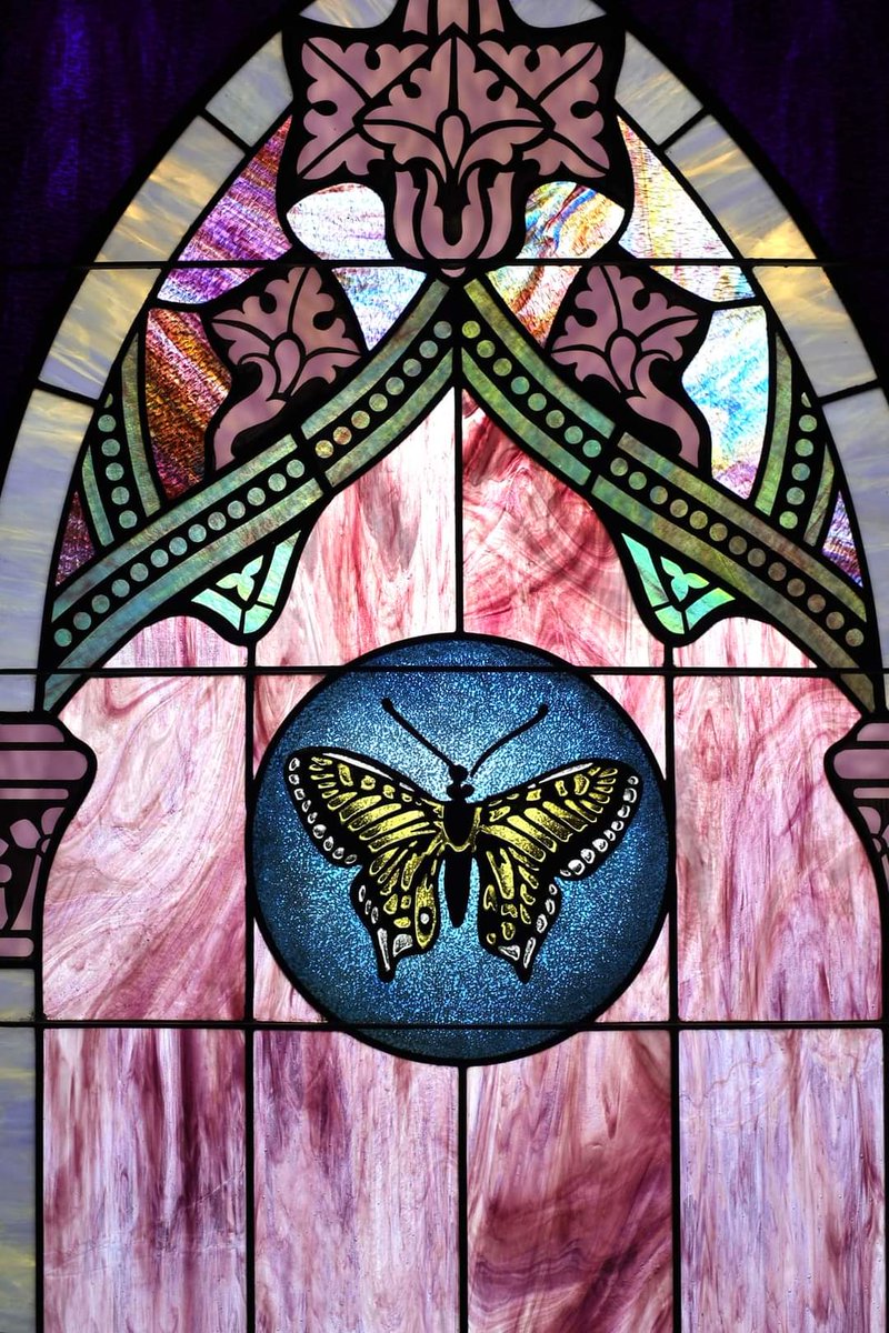 pcusabingewatch's tweet photo. Senecaville Presbyterian #Senecaville #NewYork stained glass with a butterfly, symbol of resurrection.
#stainedglassSaturday
#Presbyterian #pcusa @SynodNE #Butterfly #Easter #Resurrection #Easter2024 @PresbyHistory #stainedglass #stainedglassart https://t.co/qbfYk17kl2