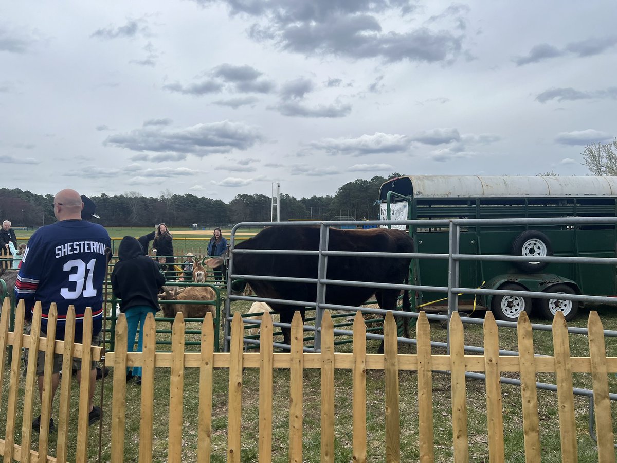 Diane Pedroza tweet media