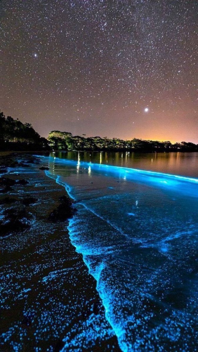 Beach in Maldives.