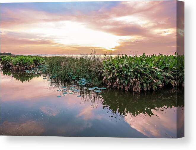 Beauty of the Wetlands #canvas #wetlands #landscape #landscapephotography #lake #reflections #Florida #photography #photographyart #waves #buyintoArt 

Shop: fineartamerica.com/featured/beaut…