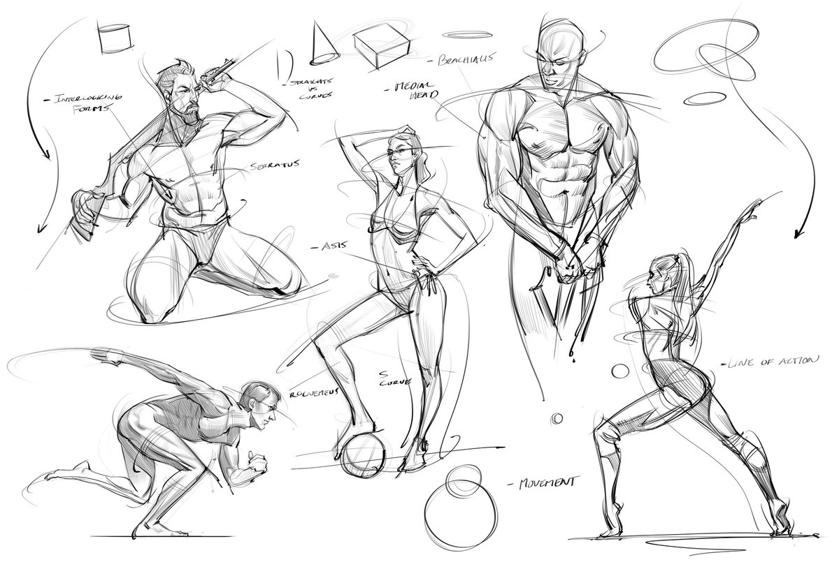 Gesture drawings! #figuredrawing #gesturedrawing #anatomy #figureanatomy #drawing #doodle #sketching #muscles #poses #lineart #actionposes #running #core #abs #athletic #art