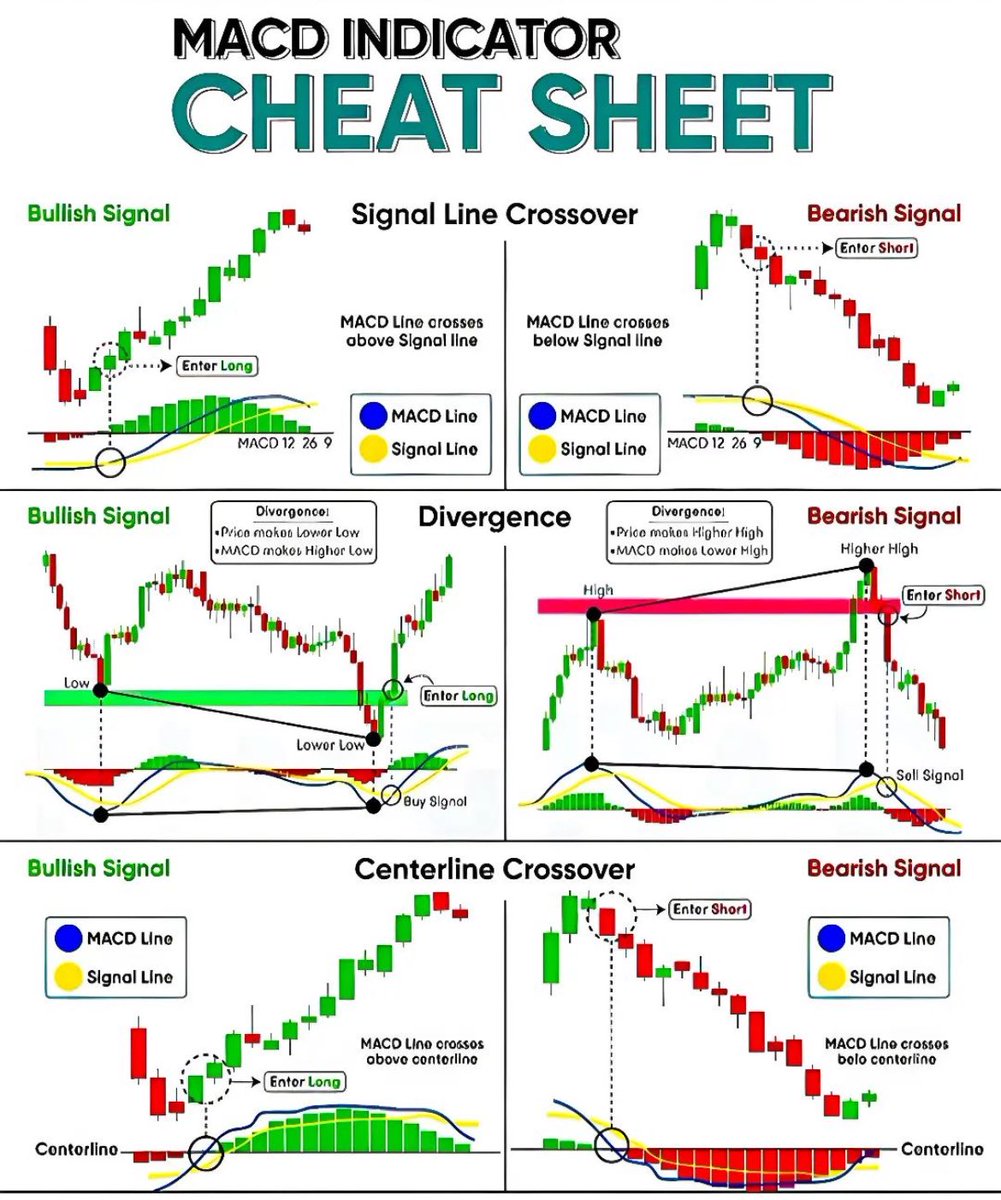 thewealthwolves's tweet photo. MACD CHEAT SHEET

Learn and Bank 🏦 

$SPY $SPX $QQQ https://t.co/PLBclsZplz
