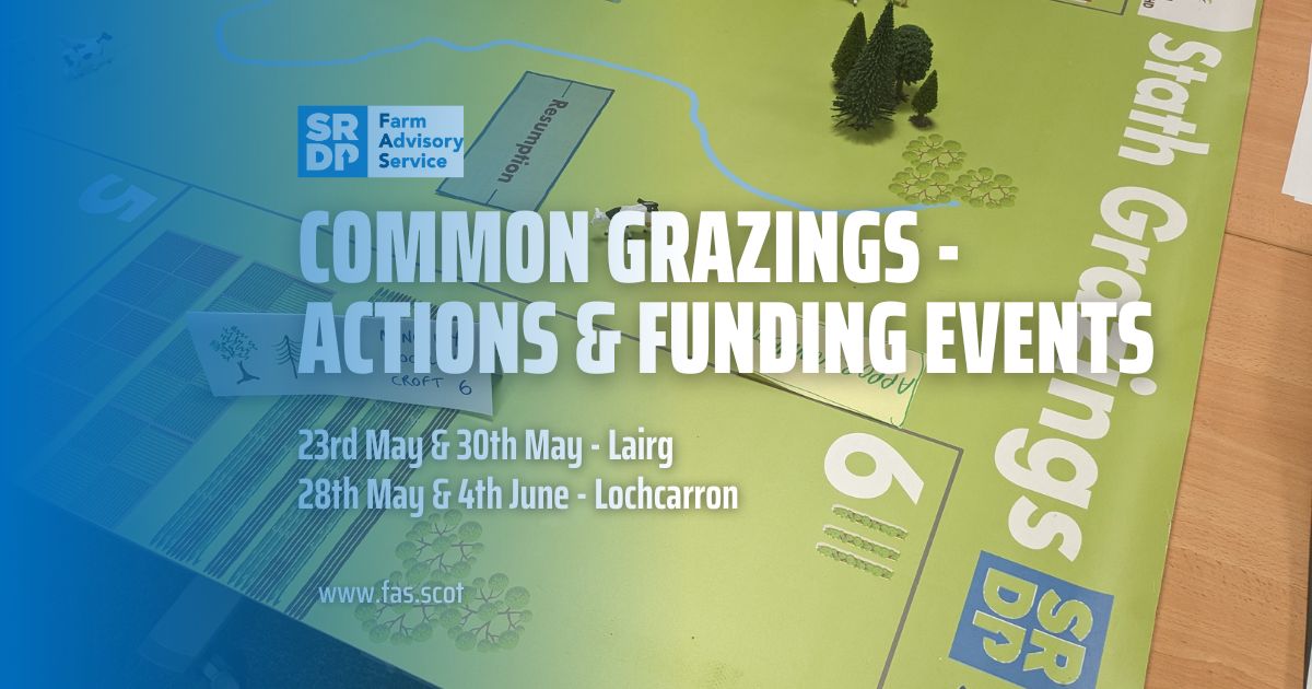 Join our upcoming events on actions & funding for common grazings taking place in Lairg and Lochcarron. We'll look at the responsibilities of committee members and different financial scenarios. Find out more: fas.scot/events/ @ScotCroftingFed @CroftingScot @ConsultingSAC