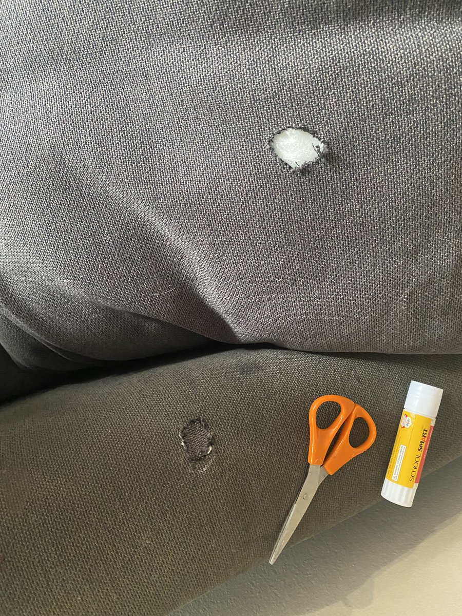 Lunarbaboon tweet media