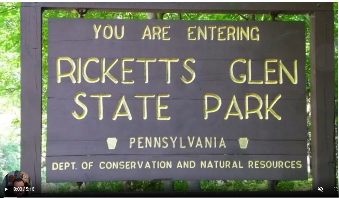 Today James Bonham takes us to Rickett's Glen State Park, one of the most scenic areas in Pennsylvania. Click Here to Watch: bit.ly/3VQi8jy
#thekeystoneschool #virtualfieldtrip #onlinelearning #livewhilelearning #homeschool #statepark #hiking #waterfalls #rickettsglen