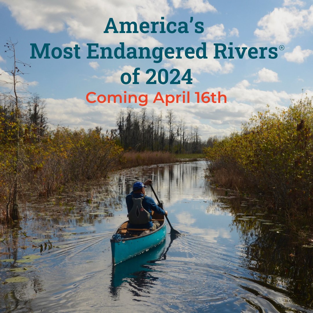 🔴 Stay Tuned 🔴 📸 Okefenokee Swamp | Joe Cook The Okefenokee Swamp was listed on the Most Endangered Rivers list in 2023. Head to the link in our bio to check out last year's rivers and stay tuned for this year's announcement happening this Tuesday, April 16th.