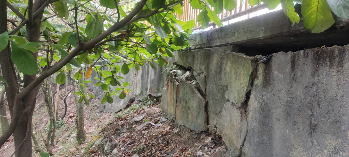 Rodeo Alto MeImporta tweet media