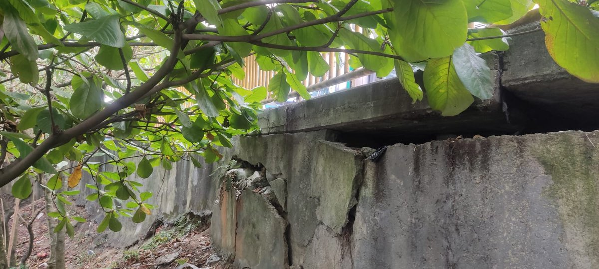 Rodeo Alto MeImporta tweet media