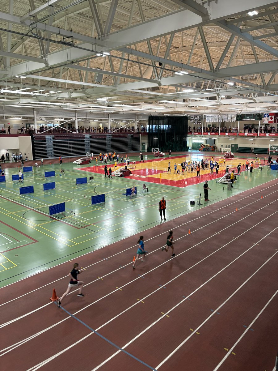 Ms. Herridge tweet media